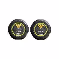 دمبل گرد استوپ دار 27.5 کیلوگرمی PSH بسته دو عددی