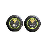 دمبل گرد استوپ دار 27.5 کیلوگرمی PSH بسته دو عددی