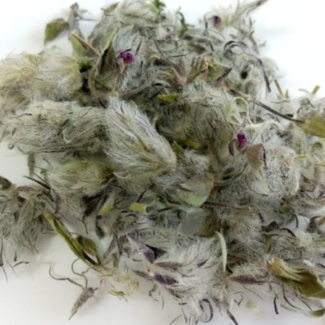 چای کوهی(100 گرم)