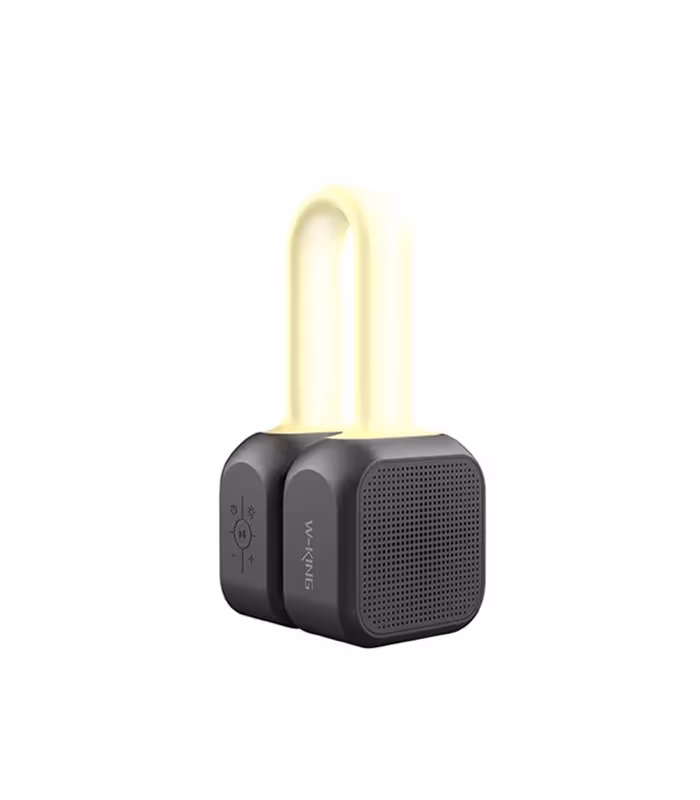 اسپیکر بلوتوثی دبلیو کینگ مدل S22