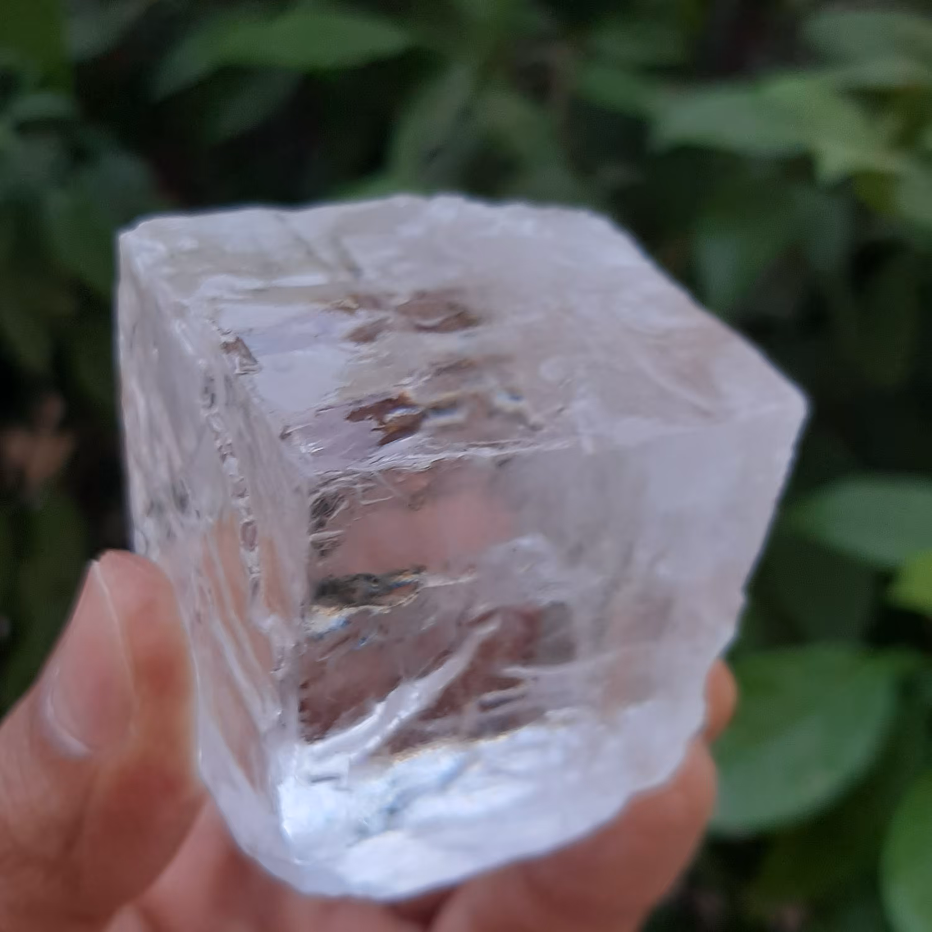 نمک کریستال جهرم(دلنمک) 1000 گرمی  پودرشده نیهاد