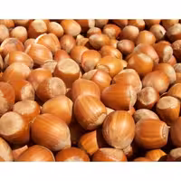 فندق درجه یک اشکور 1 کیلویی