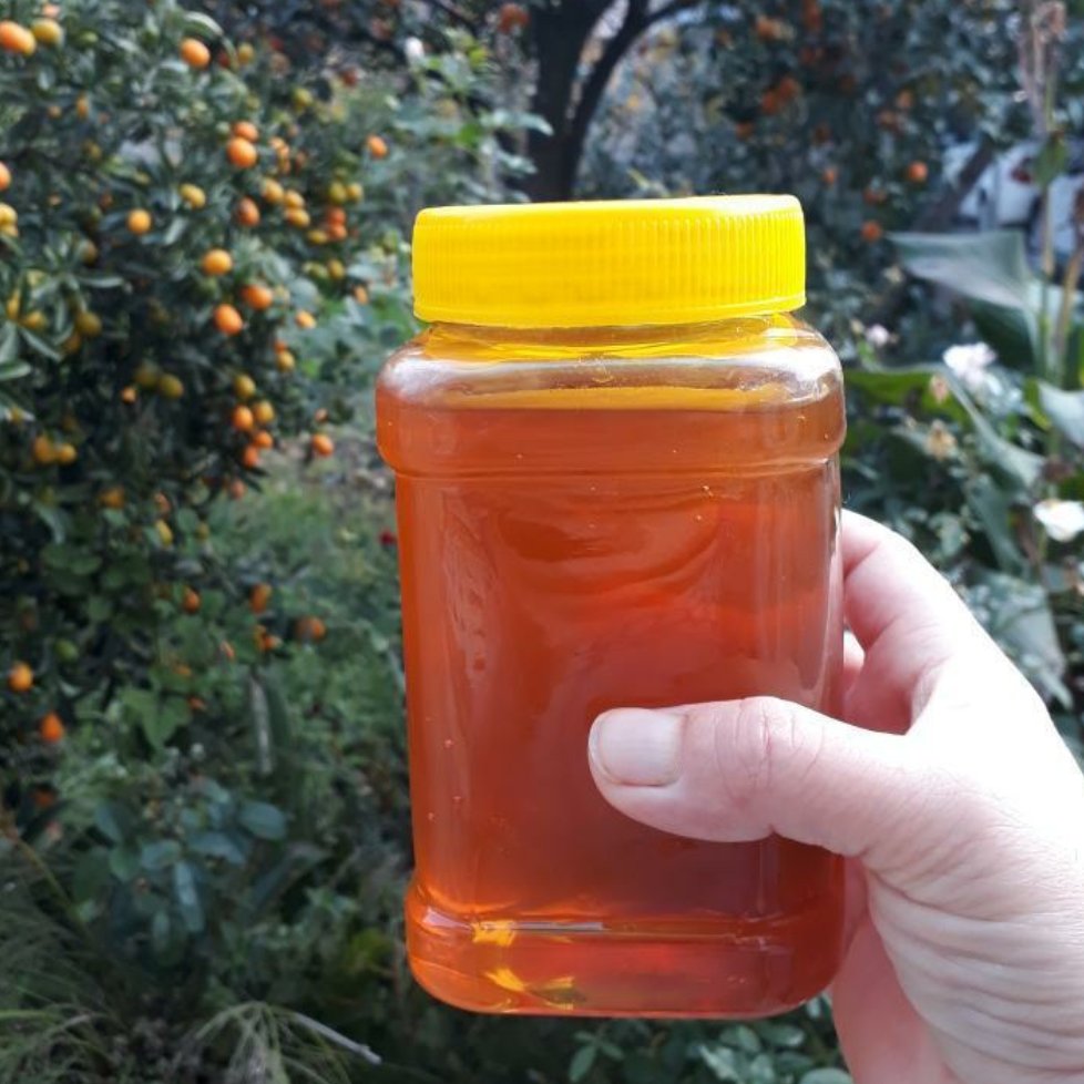 عسل گون ساکارز نیم(500 گرمی)