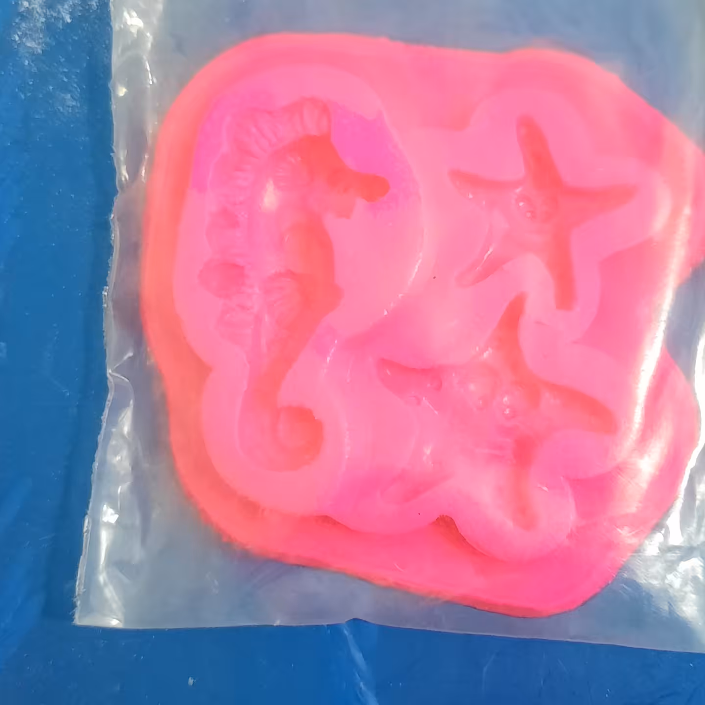 مولد اسب دریایی وستاره دریایی