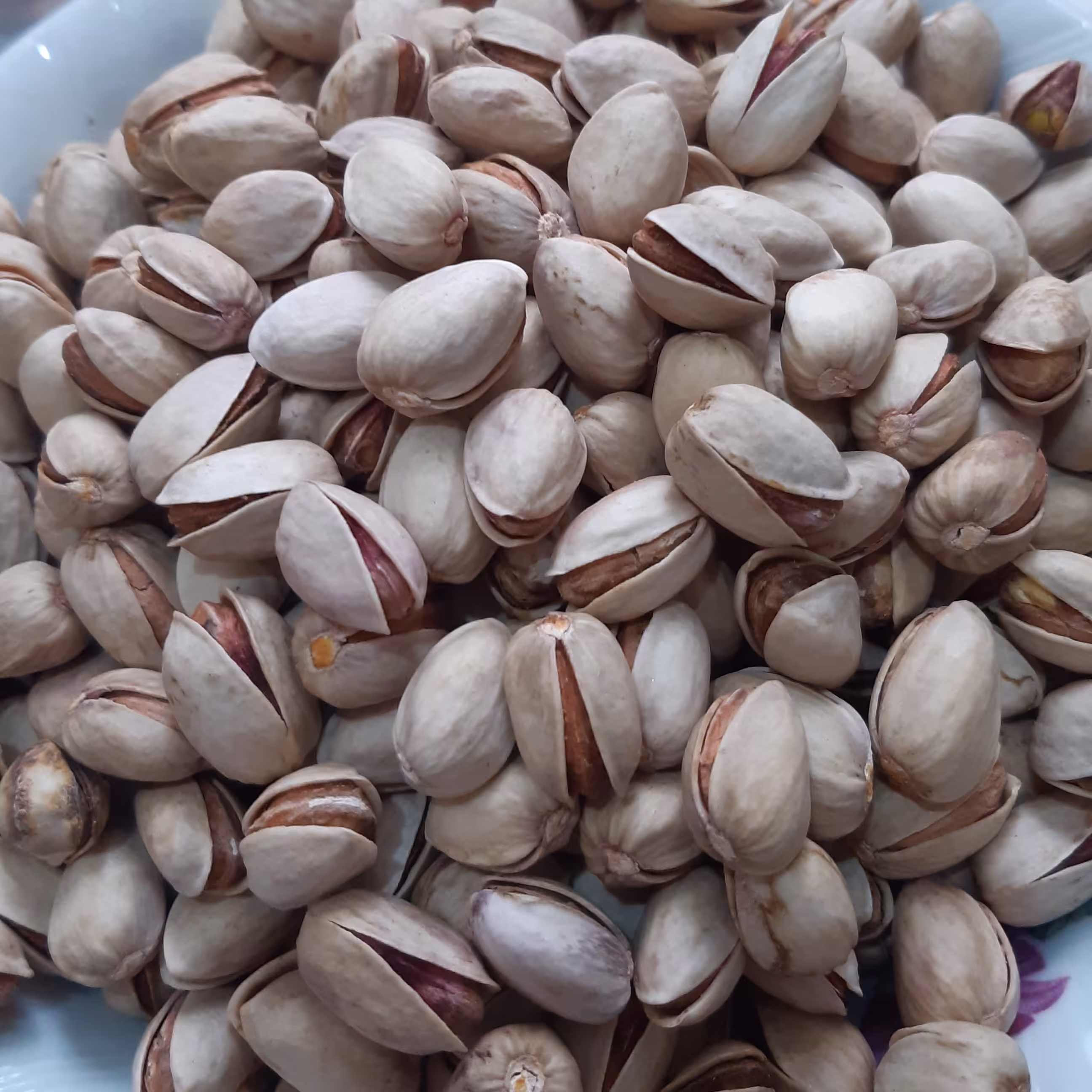 پسته فندقی خام