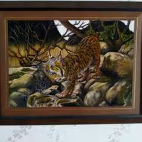 تابلو نقاشی پاستل گچی 50در70 قاب شده