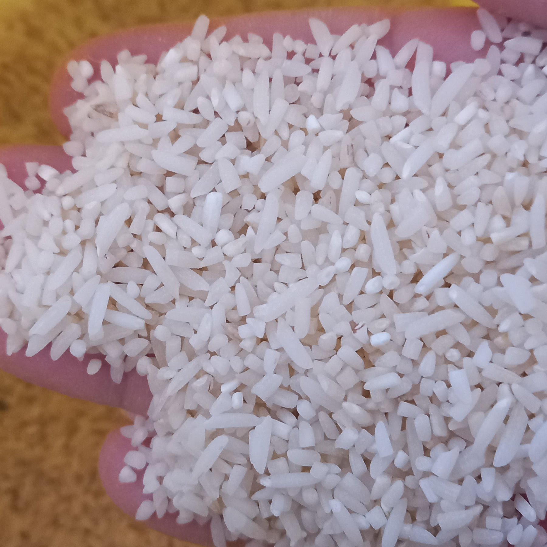 برنج لاشه هاشمی گیلان (40 کیلویی)