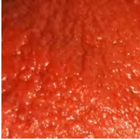 رب خونگی.(هزبنه پرداخت ارسال به عهده ی مشتری میباشو)