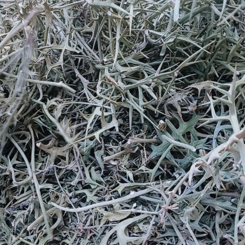 دوراغ تازه محصول امسال درجه یک بسته بندی عالی خوش عطر