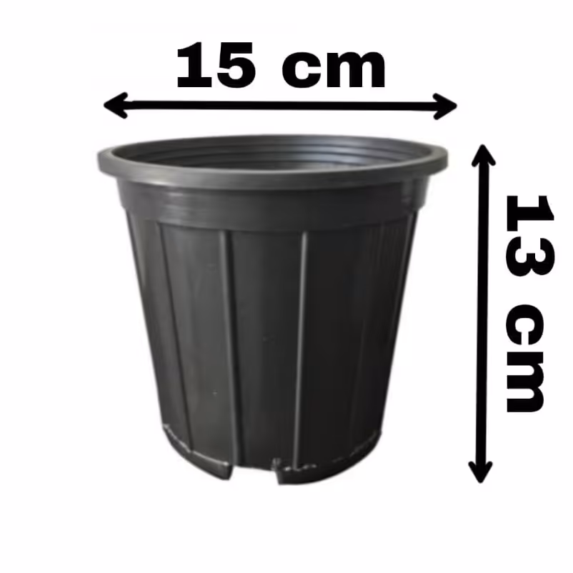 گلدان پلاستیکی  سایز 15 نشا (1000عدد)