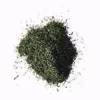 شوید خشک ممتاز فدک (100گرم)