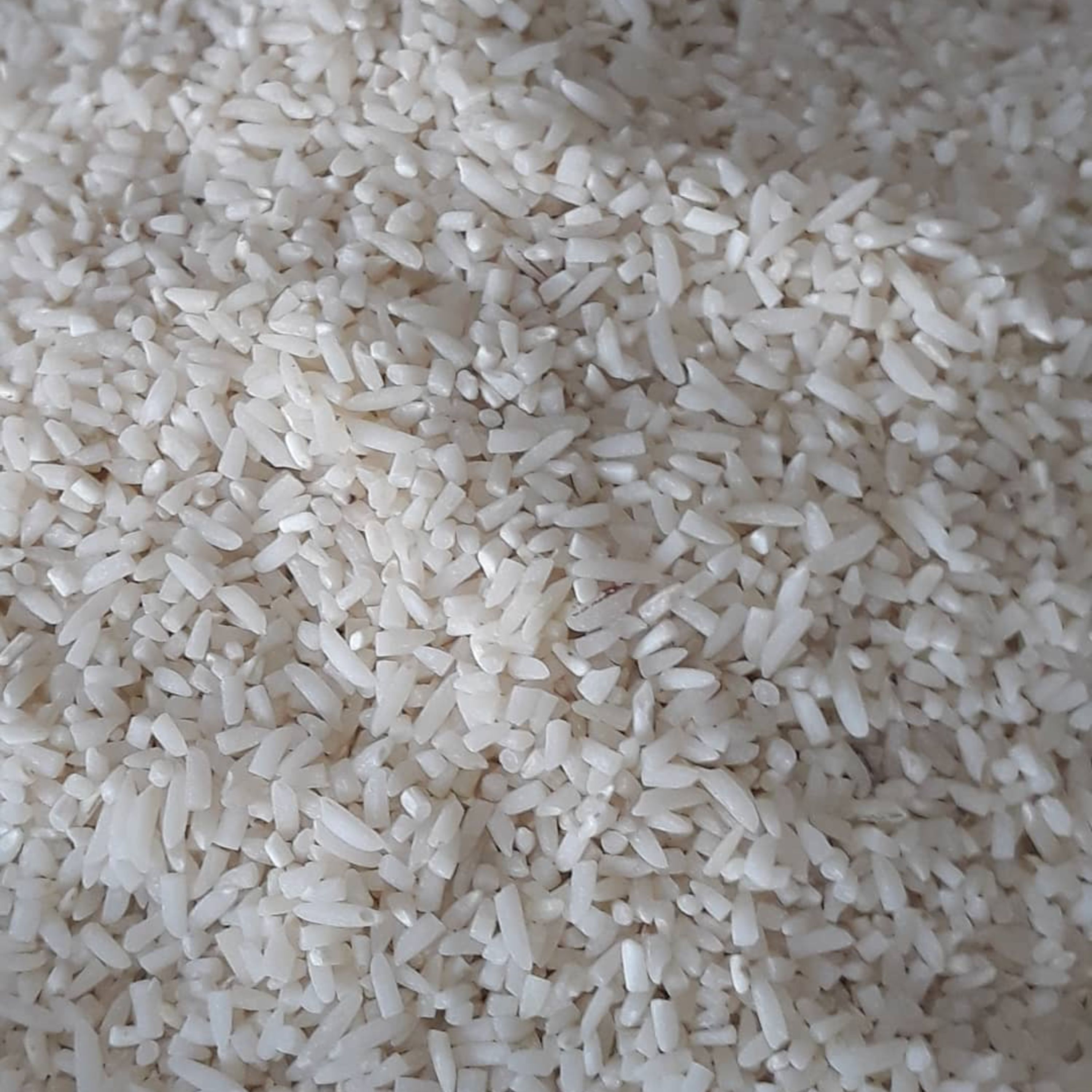برنج سر لاشه هاشمی اعلاء