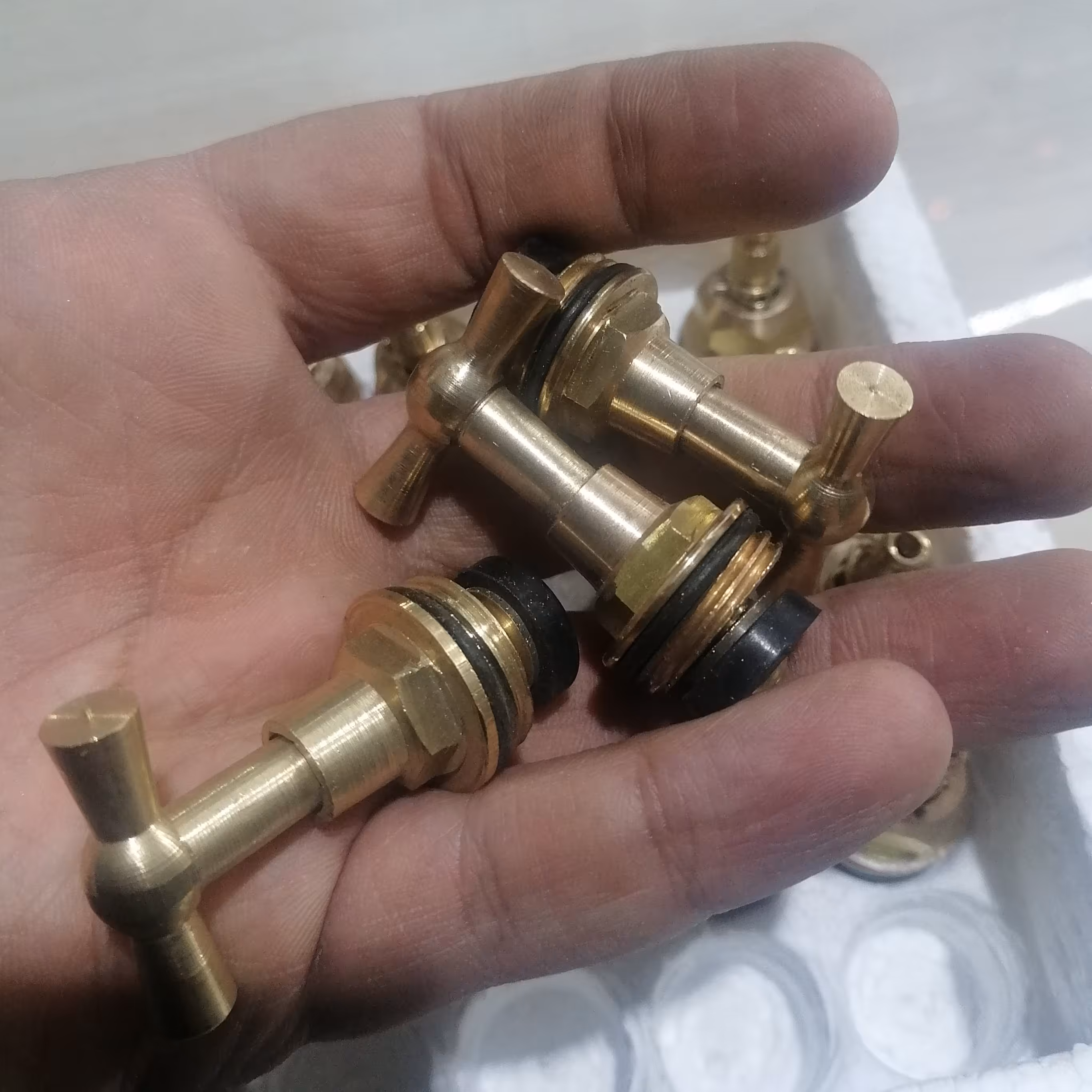 بالا تنه 1.2 مغزی شیر حیاطی اعلا 