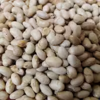 سویا آجیلی نیم کیلویی خوشمزه ومقوی😍