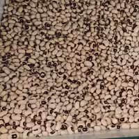 لوبیا چشم بلبلی(یک کیلو)