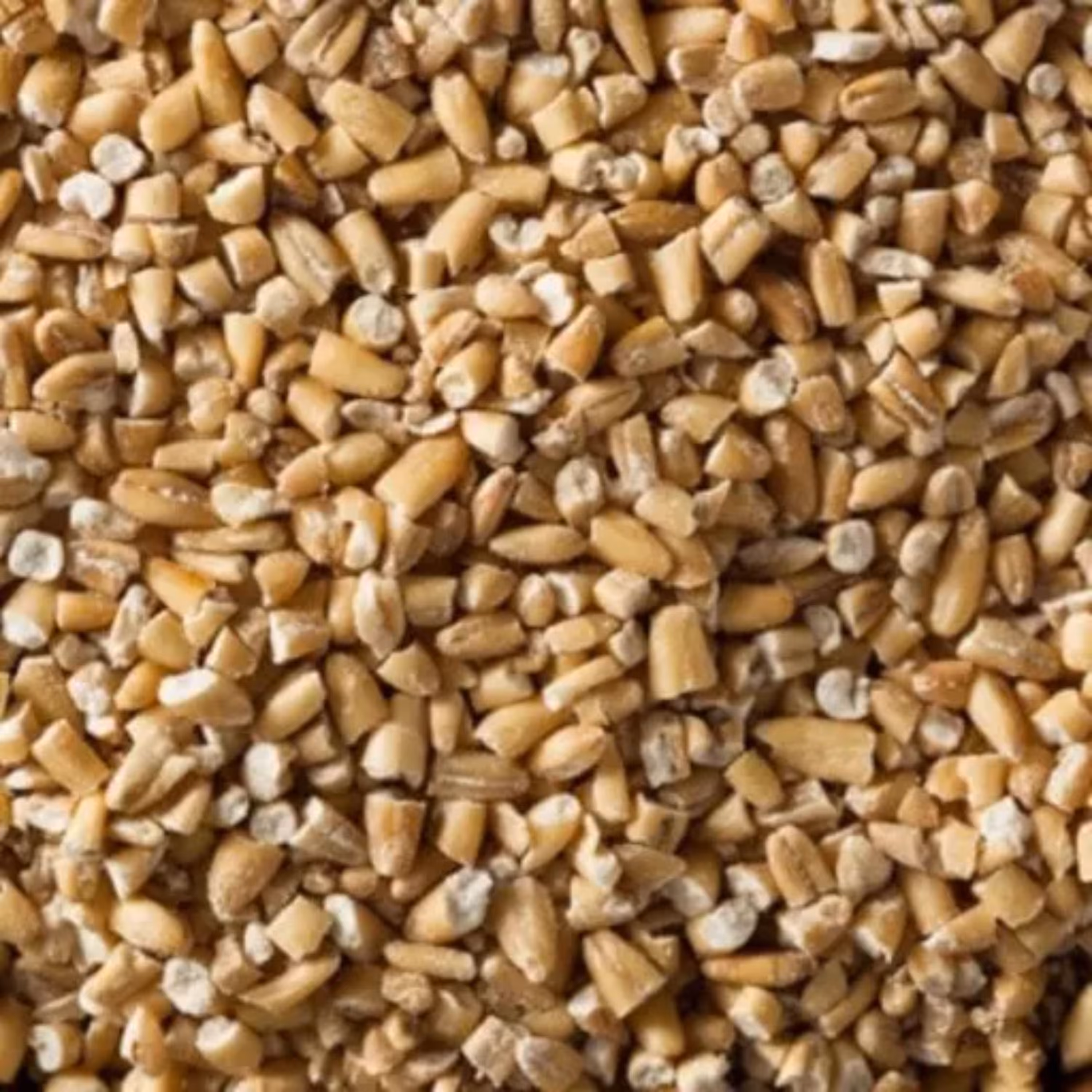 بلغور جودوسر (500 گرمی)