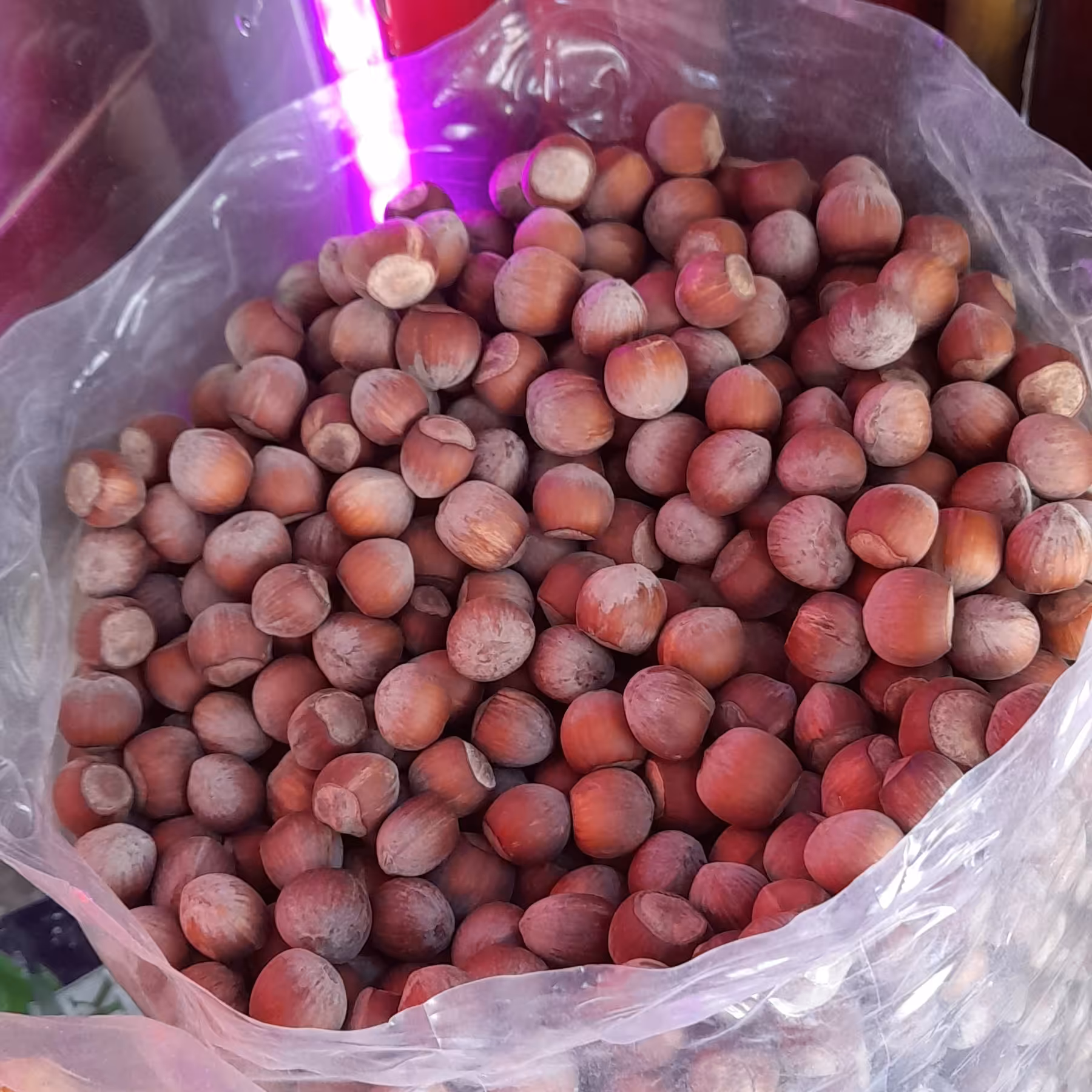 فندق خوانسار