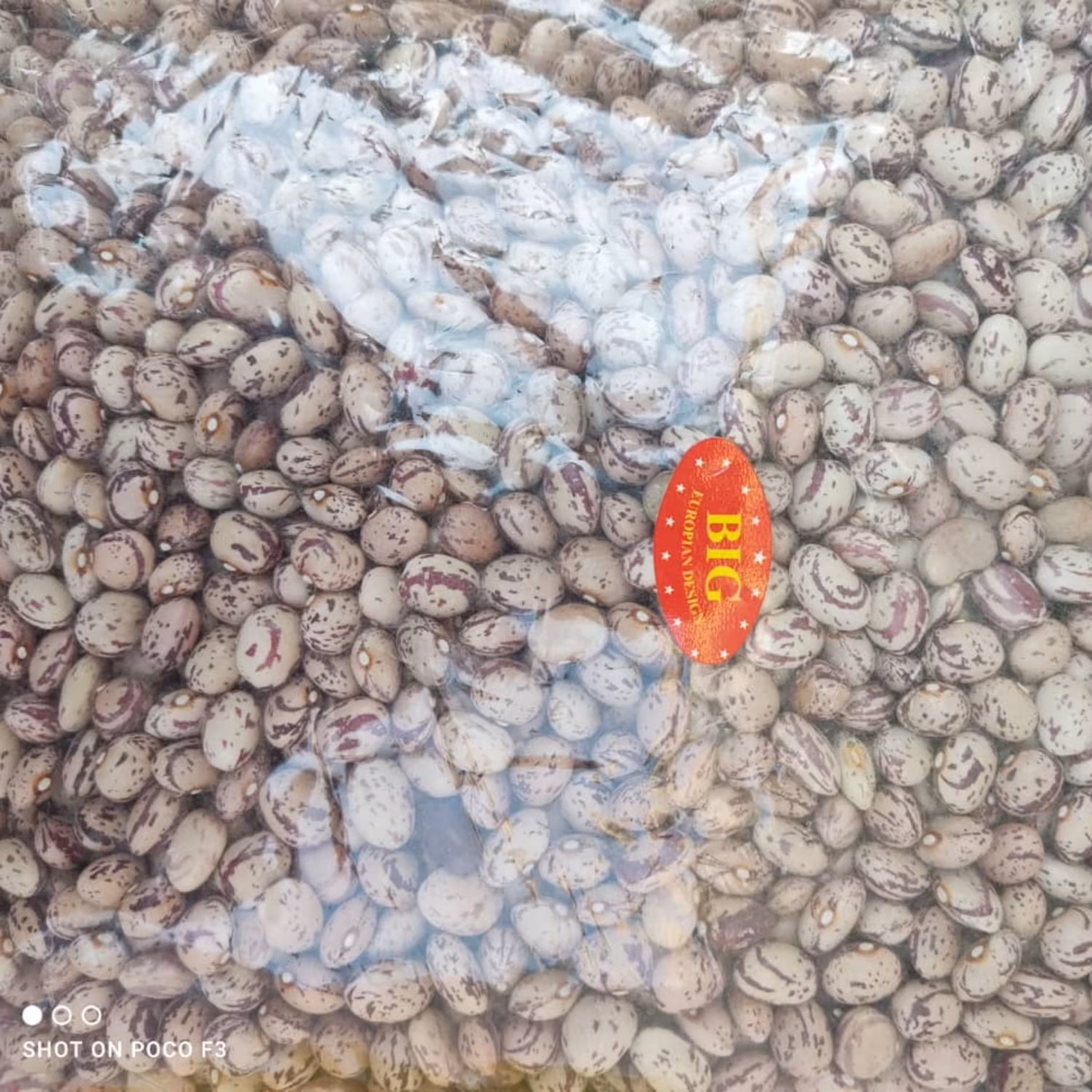 لوبیا چیتی در بسته 900 گرمی