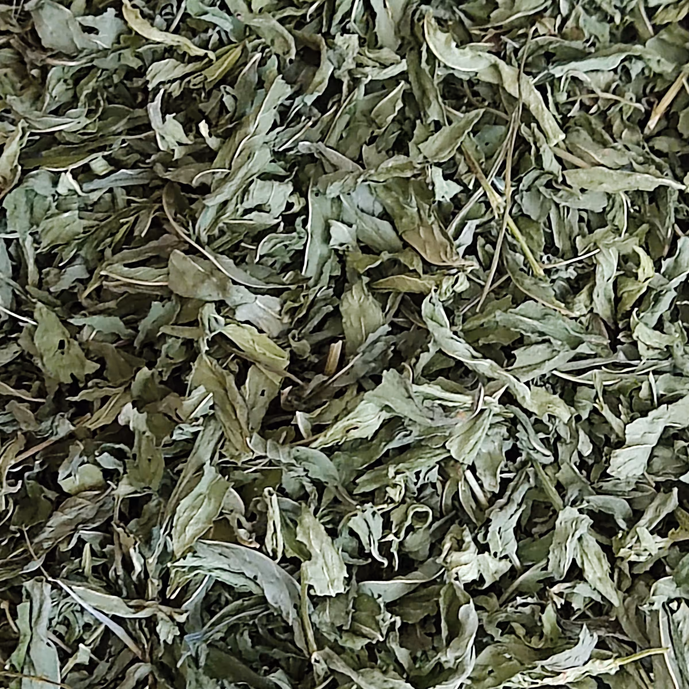 نعنای خشک اعلا برگ 