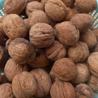 گردو ایرانی درجه 2 سایز درشت متوسط وریز 2کیلویی