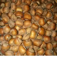 فندوق  خشک ییلاق اشکورگیلان (متوسط)