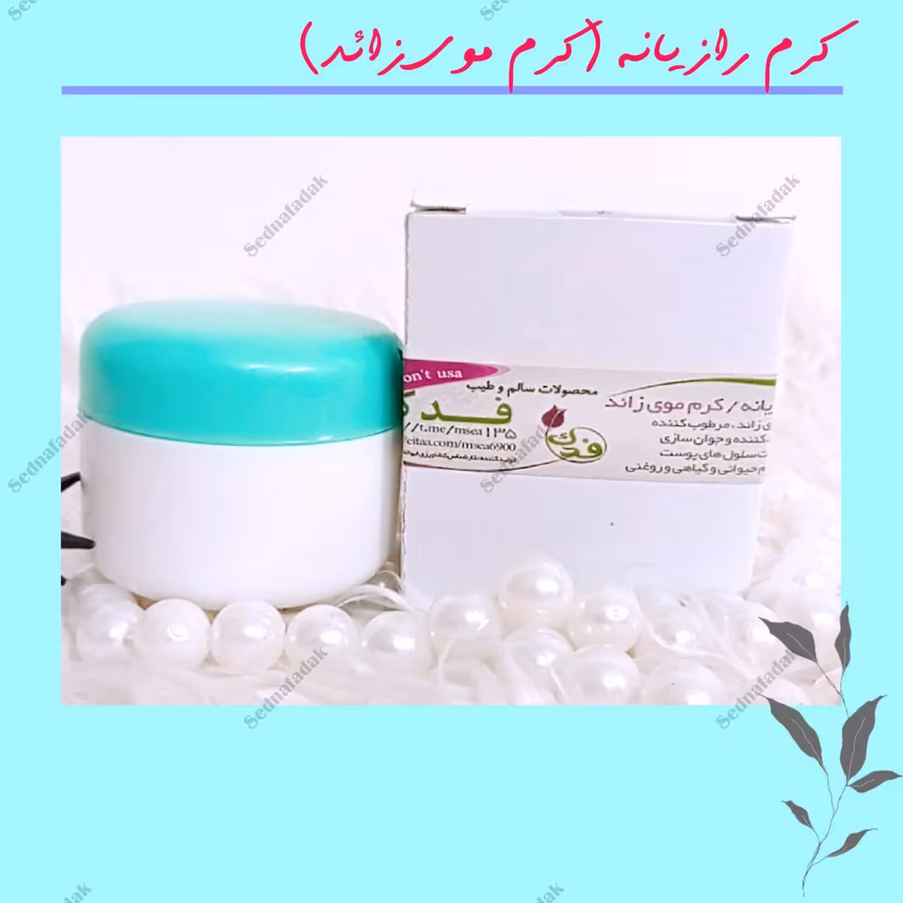 کرم رازیانه سدنا فدک