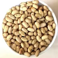 سویا آجیلی