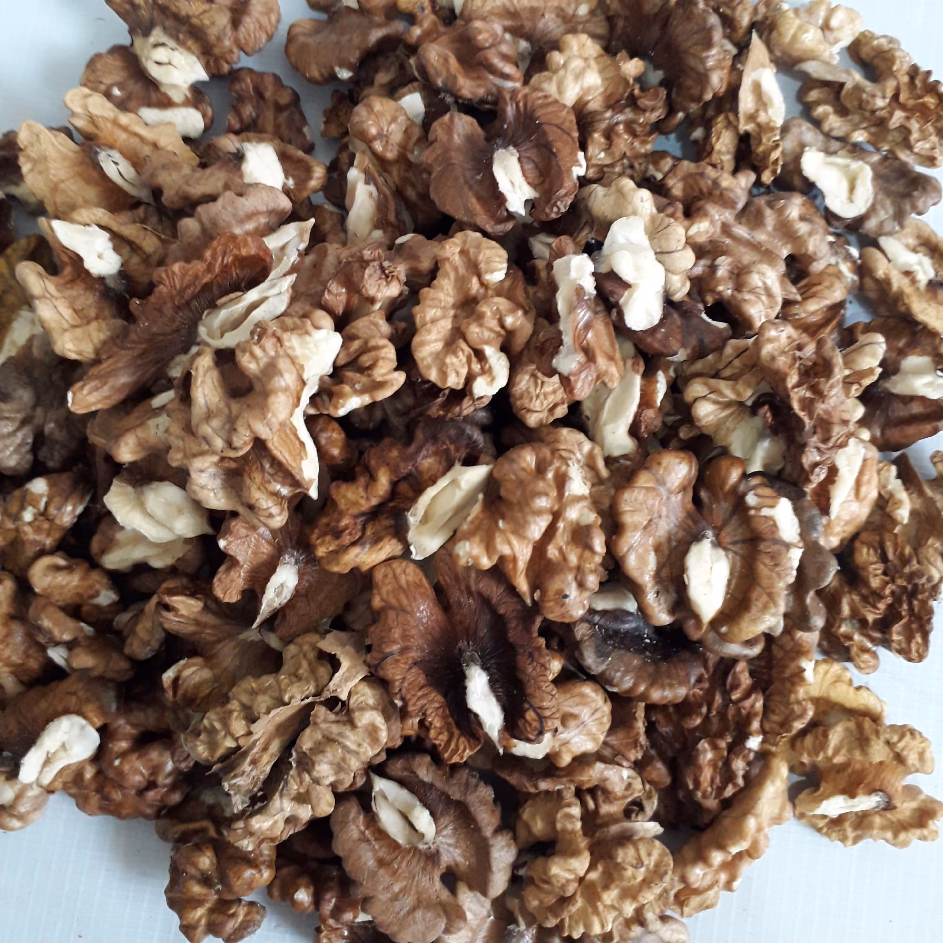 مغزگردو فسنجونی  پارسال(خورشتی)