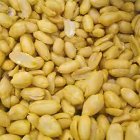 مغز بادام زمینی 1 کیلویی پوست کنده مزه دار سرکه ای درشت و تازه و درجه یک 