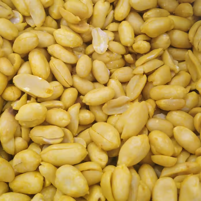 مغز بادام زمینی 1 کیلویی پوست کنده مزه دار سرکه ای درشت و تازه و درجه یک 