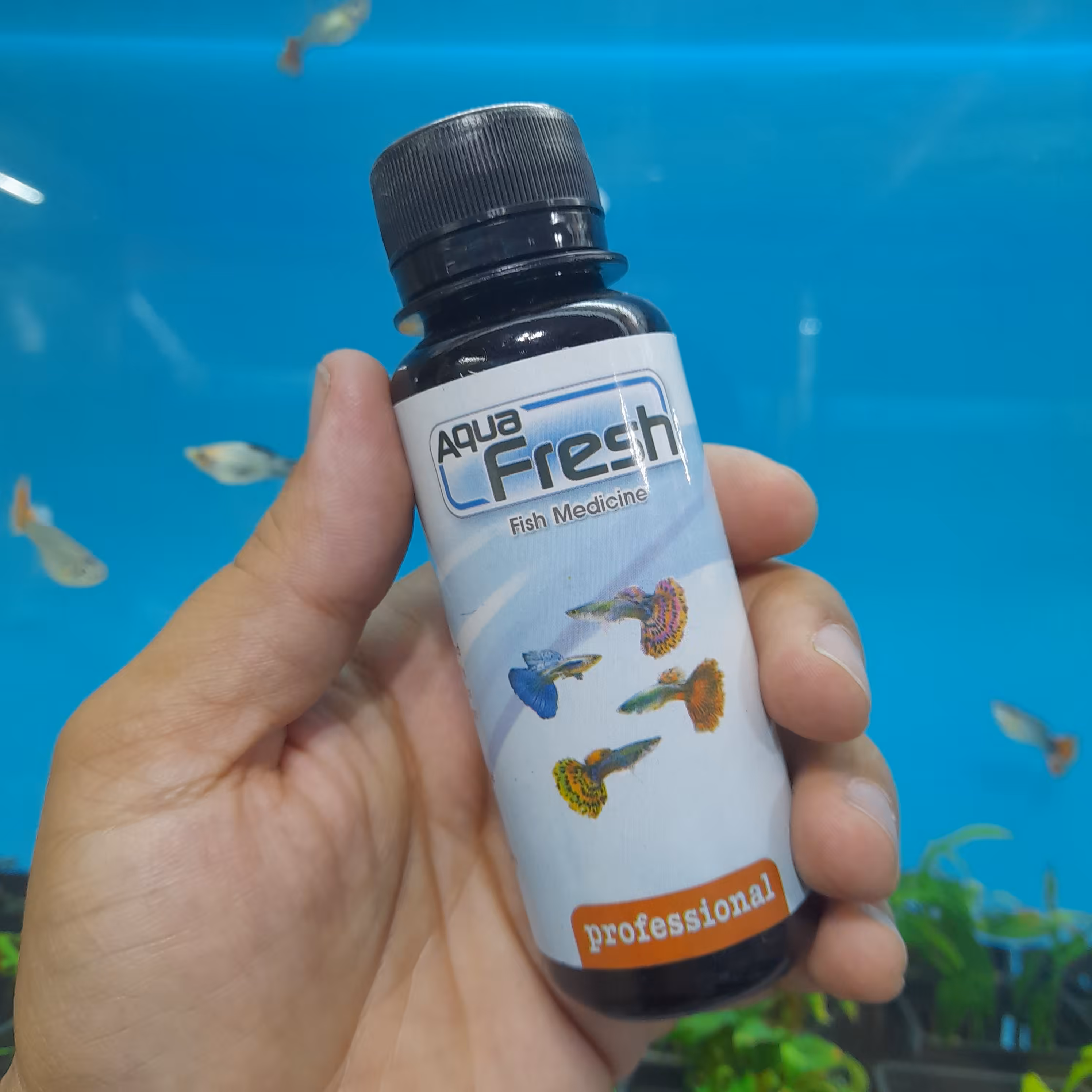 محلول ضد عفونی کننده آکواریوم آکوا فرش 100 میلی