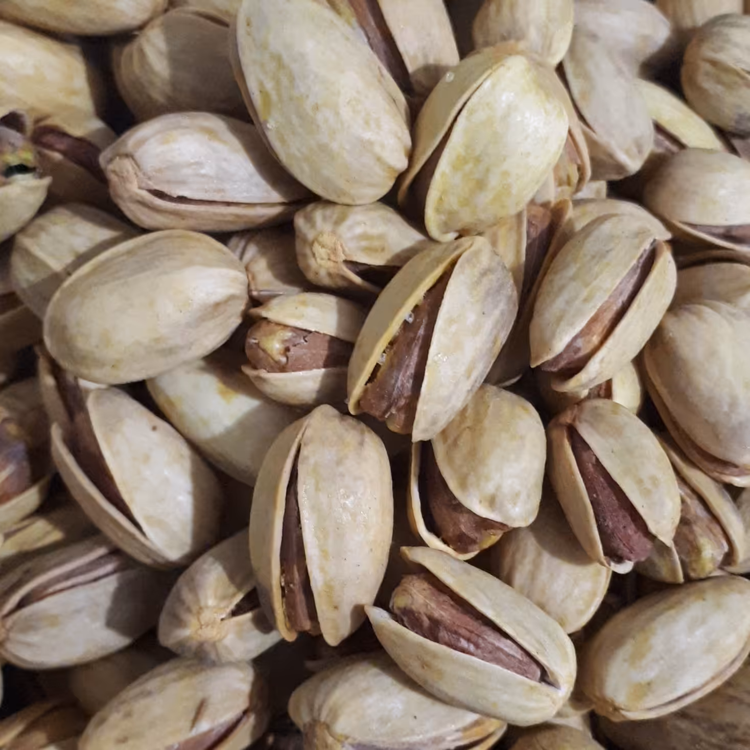 پسته شور اکبری امساله اکیلویی