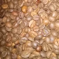 دان قهوه ویتنام  500گرم