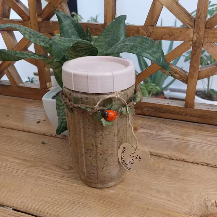 زیتون پرورده خانگی500 گرم(پس کرایه)