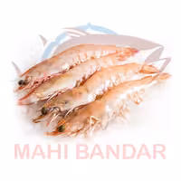 میگو درشت سایز 40-30  تازه و صید روز