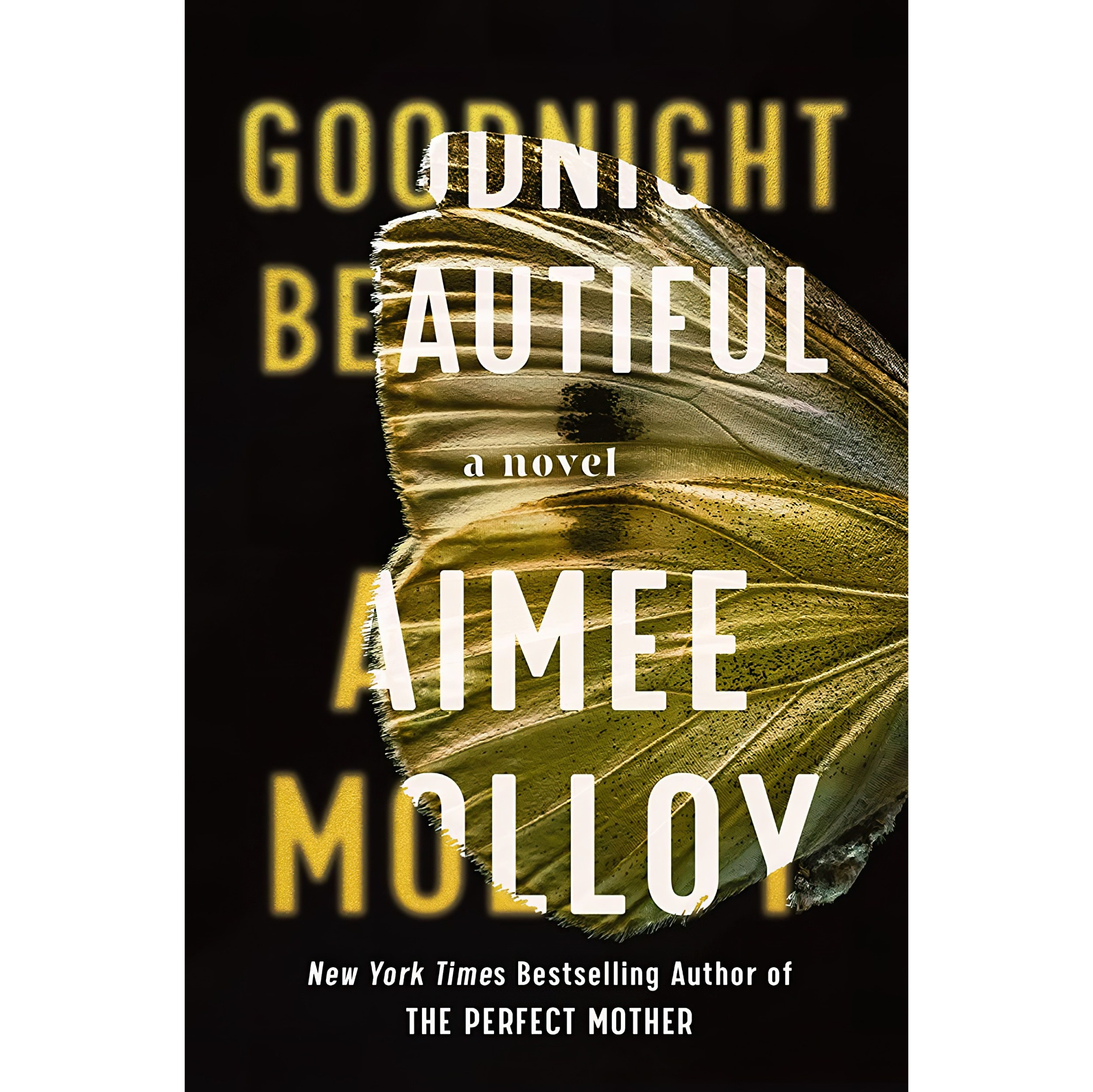 کتاب زبان اصلی Goodnight Beautiful اثر Aimee Molloy انتشارات Harper