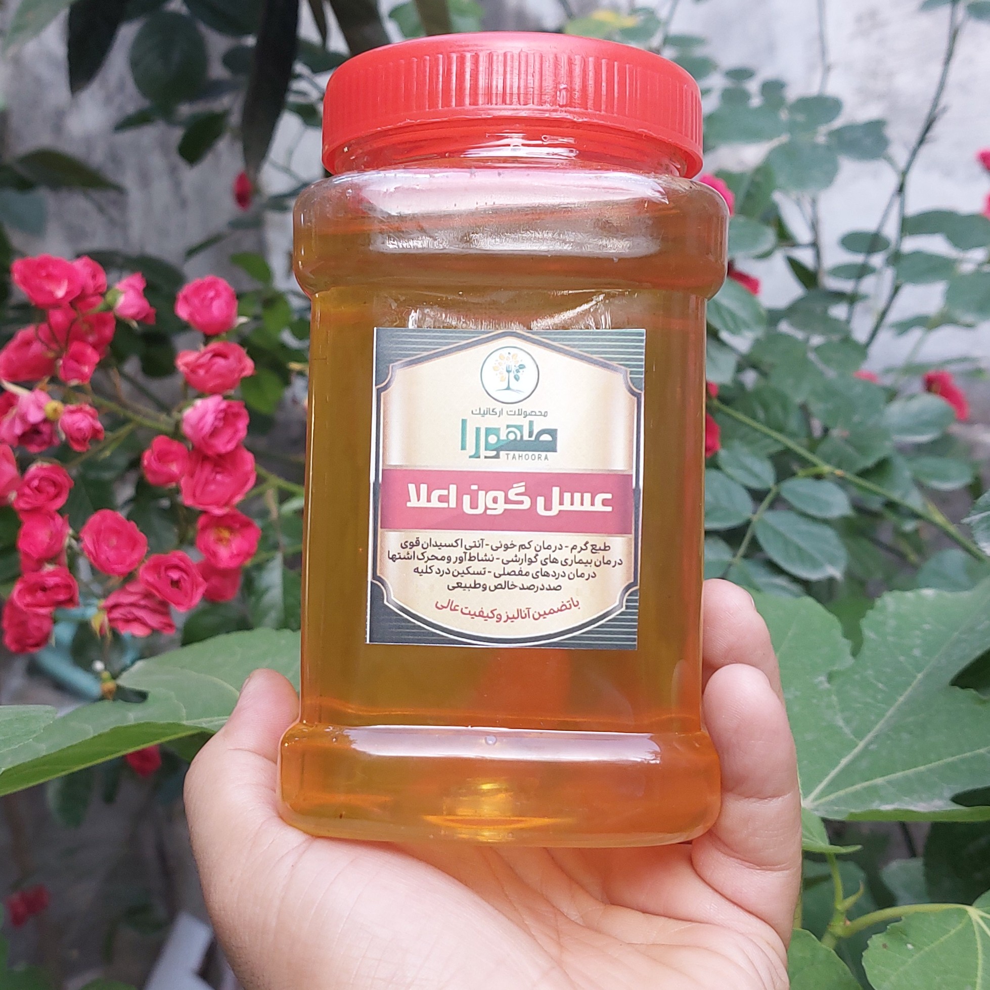 عسل گون اعلا در بسته بندی یک کیلویی، صد در صد طبیعی، هرزه بافت، ساکاروز زیر 25 درصد