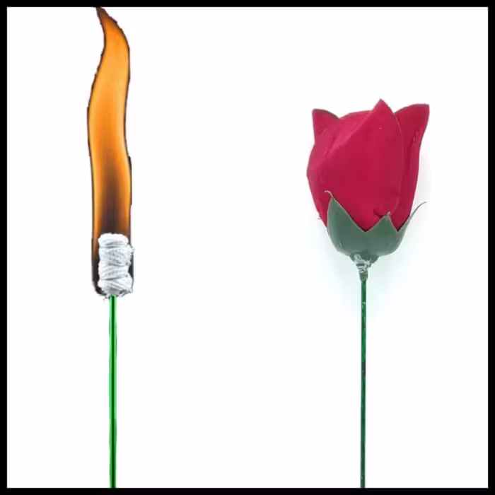 تبدیل آتش به گل 