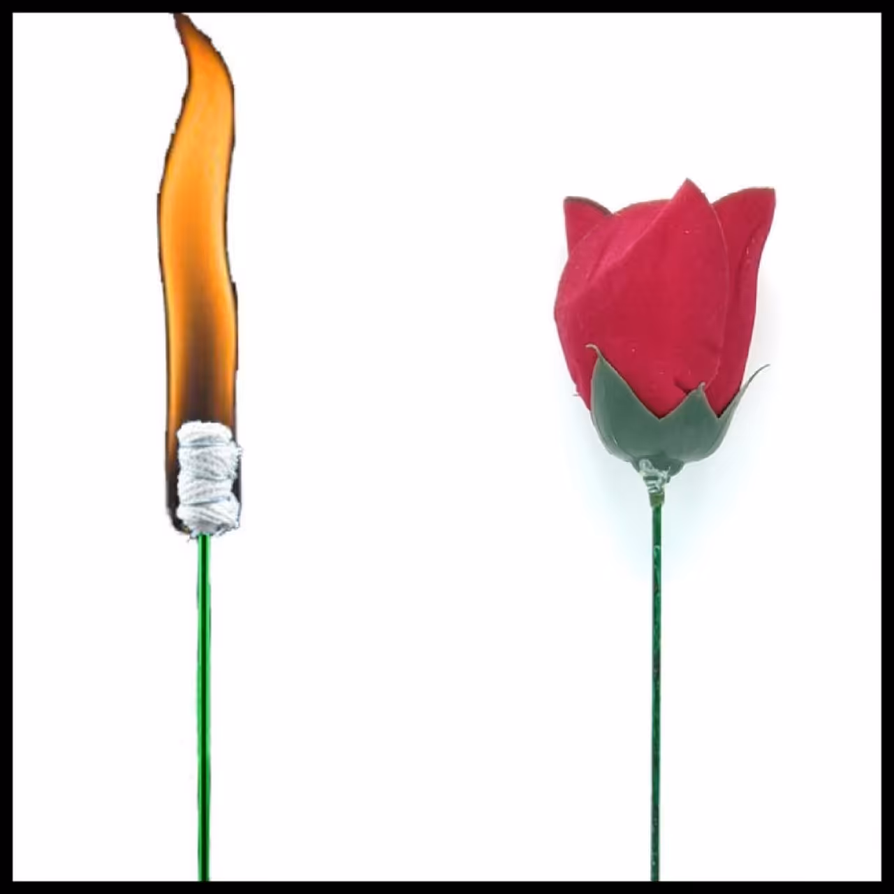 تبدیل آتش به گل 