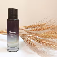 عطر (ادکلن) مردانه ساواج 25 میل از شرکت اسمارت