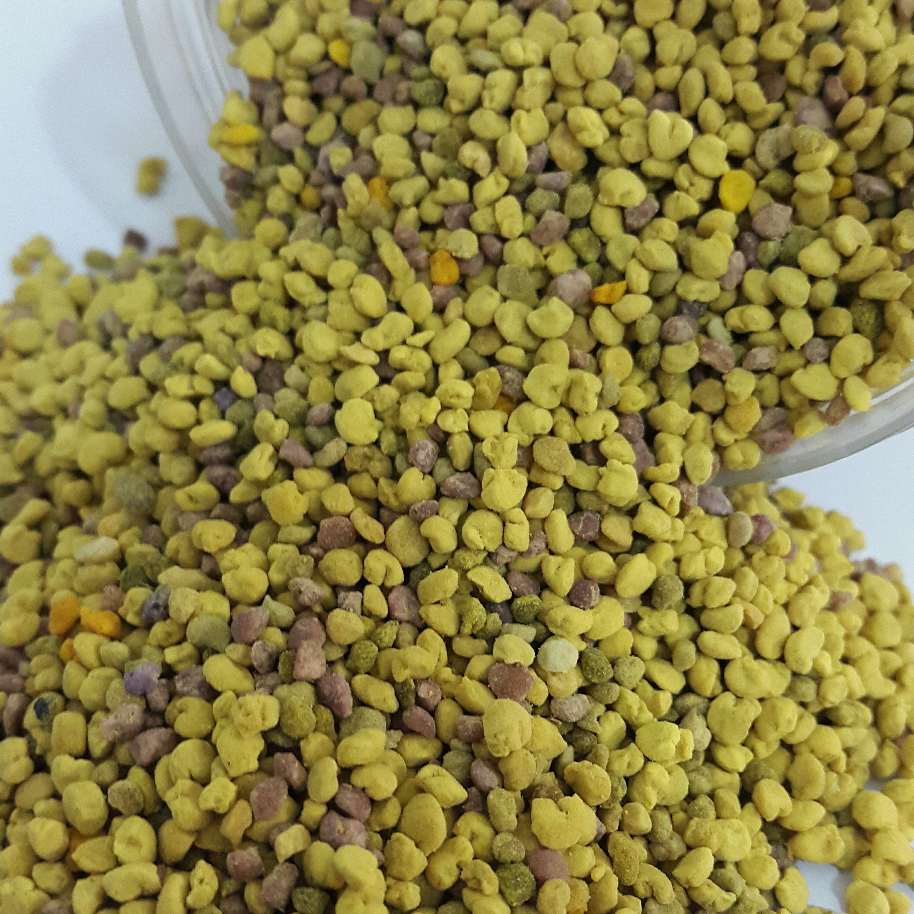 گرده گل خالص درجه یک برداشت 1401