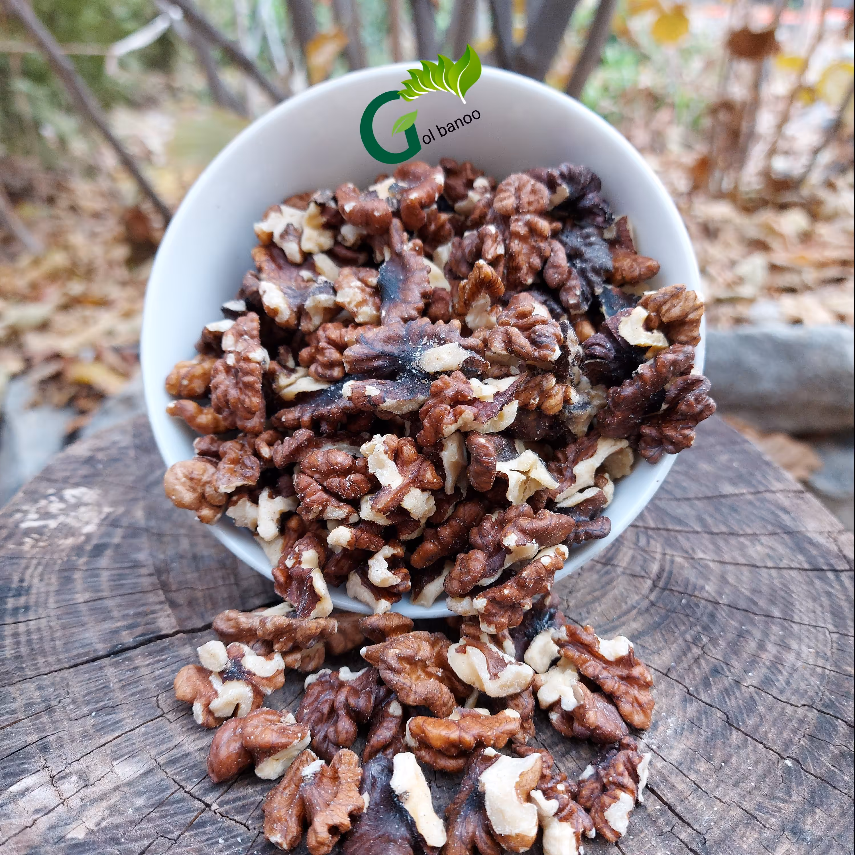 مغز گردو ایرانی  خورشتی(500 گرمی )