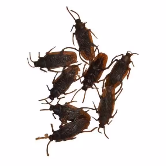 سوسک پلاستیکی مدل شوخی بسته 8 عددی