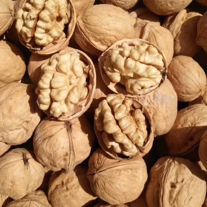 گردو کاغذی خوشمزه درجه 1 و چرب (با ضمانت بازگشت)