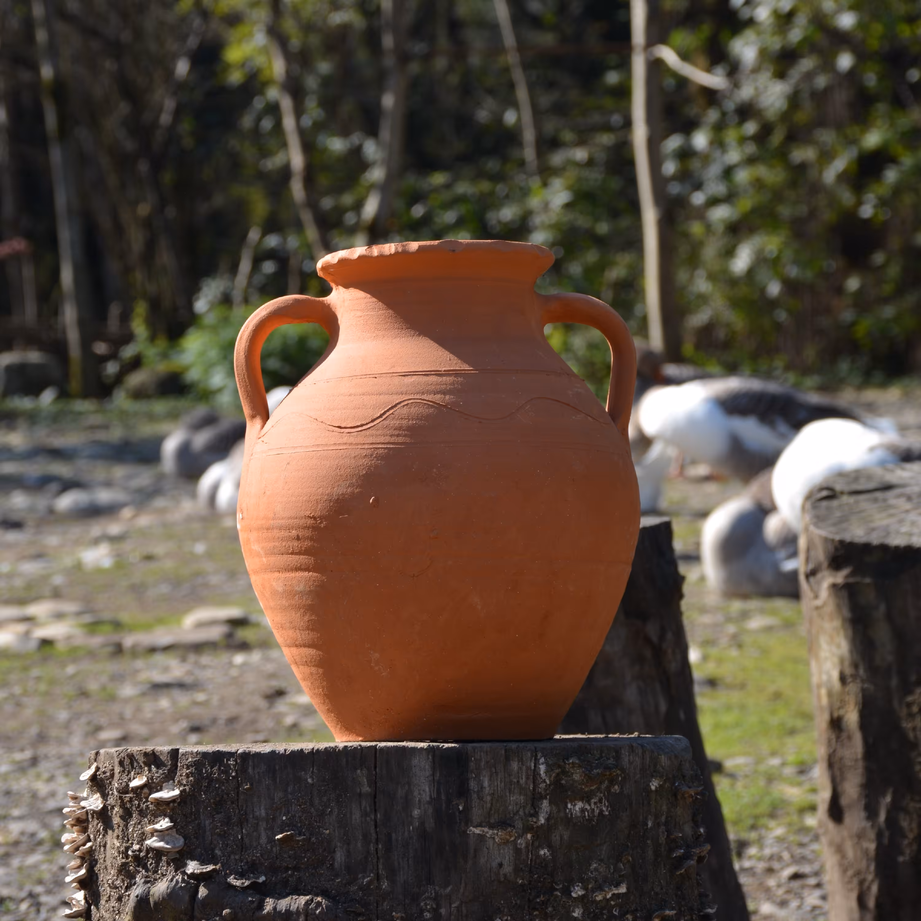 کوزه ماست بسیار باکیفیت و پر طرفدار