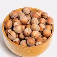 فندق خام تازه و درباز امسالی الموت (500گرم)