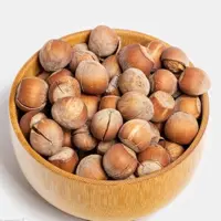 فندق خام تازه و درباز امسالی الموت (500گرم)