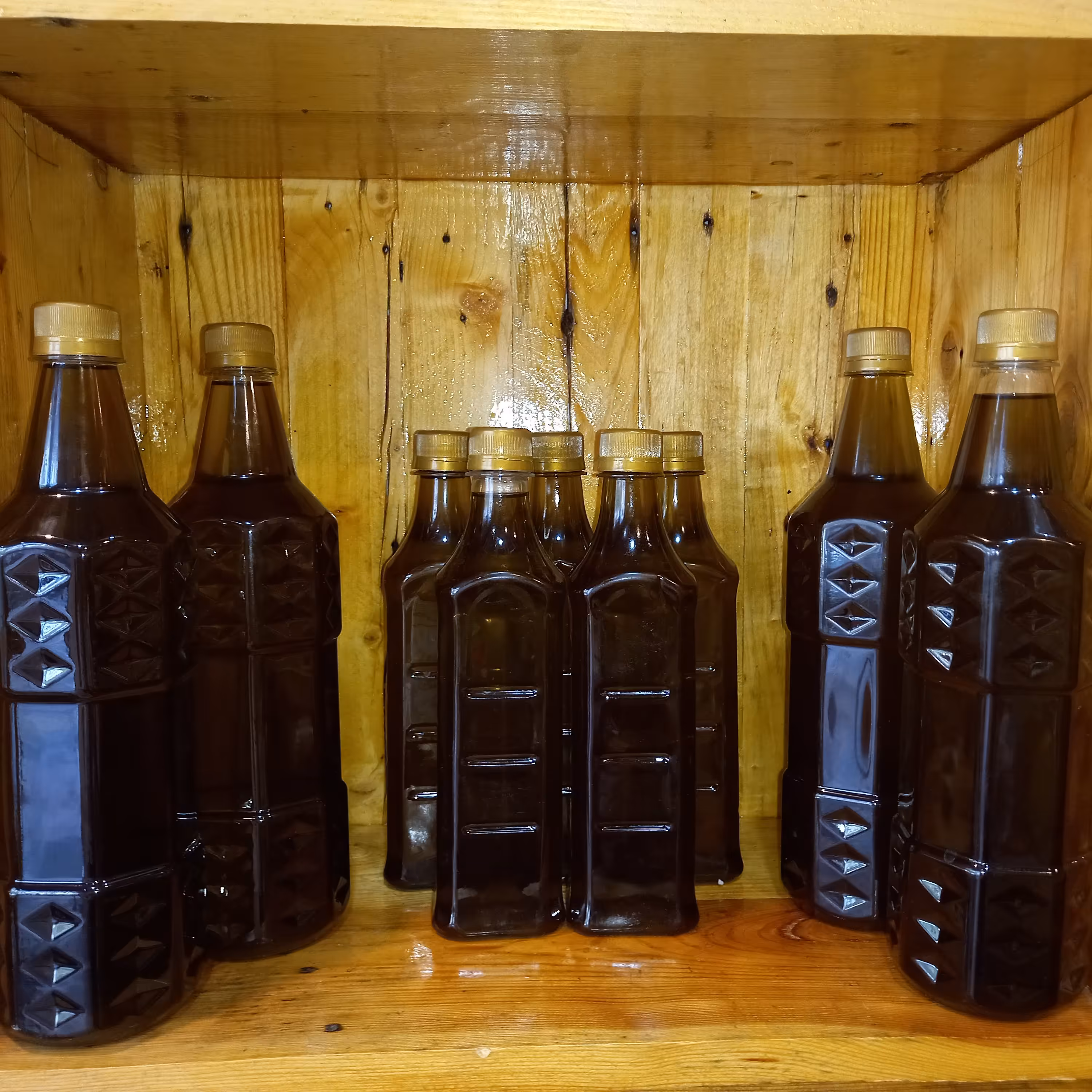 روغن زیتون اکسترا ویرجین فوق بکر ارگانیک عمده خرده