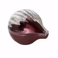 جا پیاز و سیر