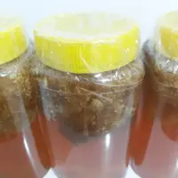 عسل وحشی کوهی  صادراتی زنبور ریز اقتصادی